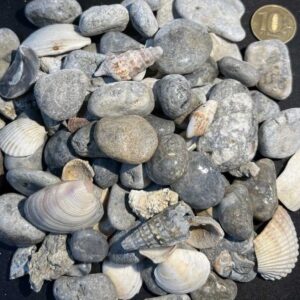 Крымская галька купить морская Синяя Капитан фракции 10-20мм